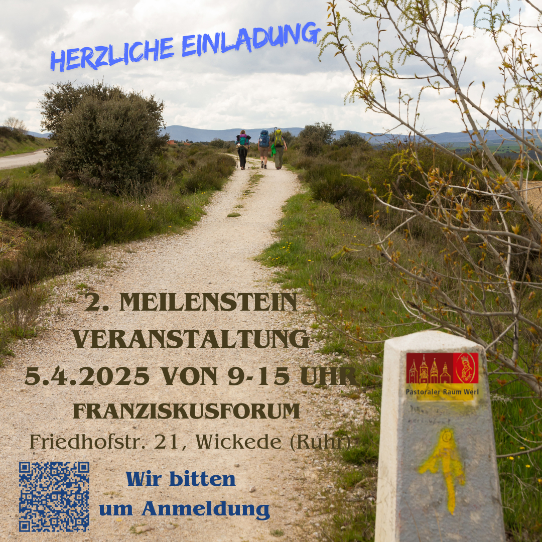 Meinstein2