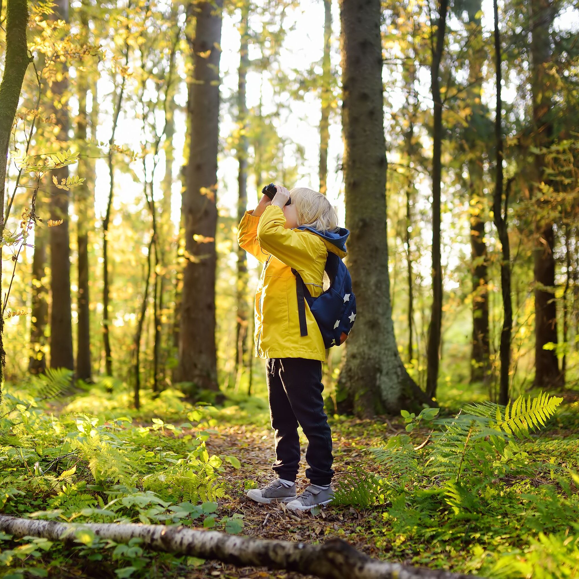 weboptimiert-Kind-erkundet-Wald-scaled-aspect-ratio-1-1