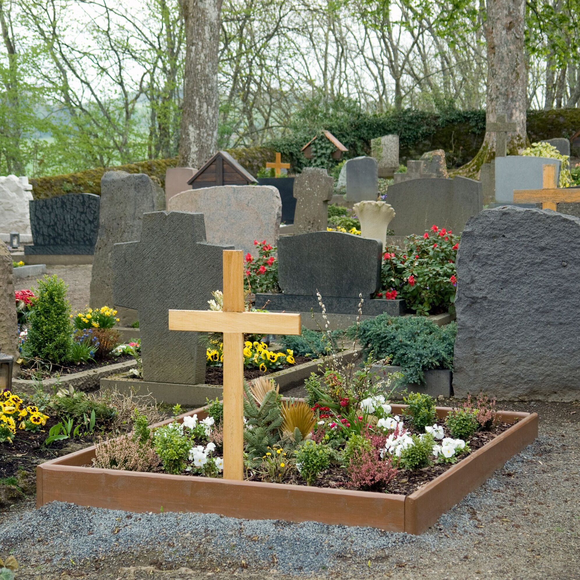 weboptimiert-Friedhof-scaled-aspect-ratio-1-1