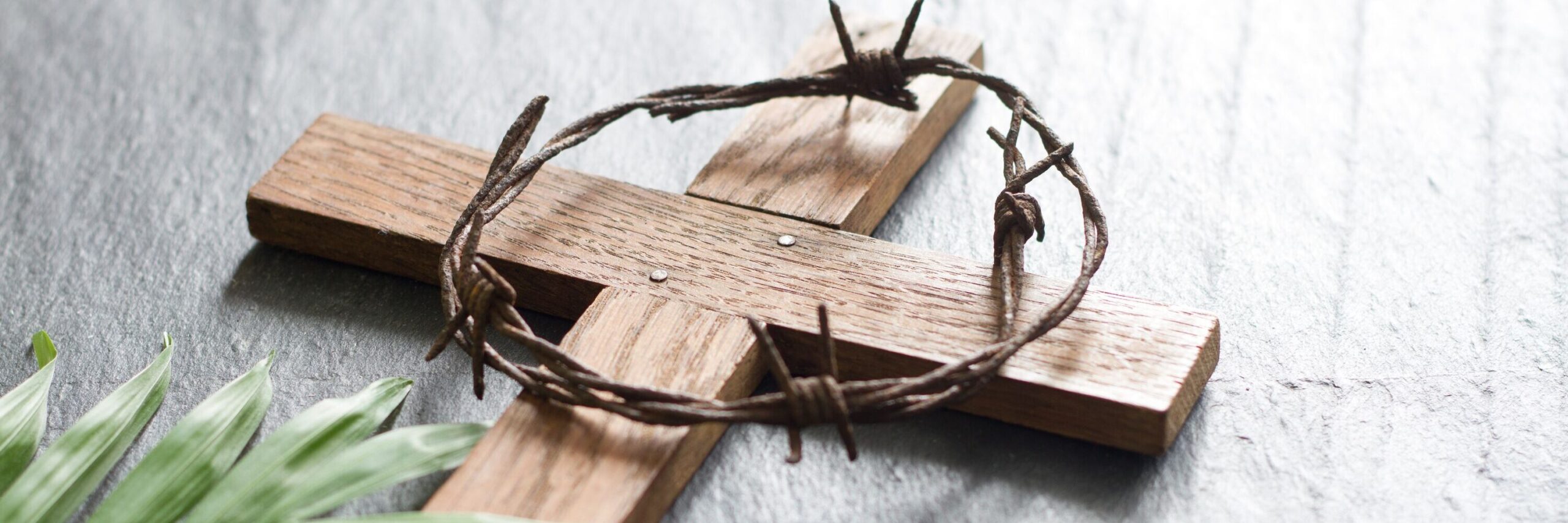 weboptimiert-Kreuz mit Dornenkrone